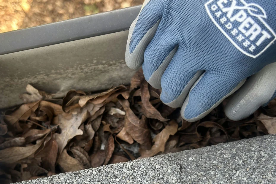 Gutter Cleaning Liberty NC